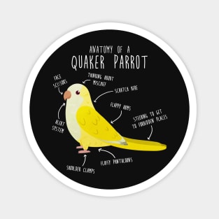 Anatomy of a Lutino Quaker Parrot Magnet